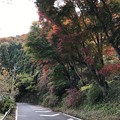 Photos: ファイル 2016-11-21 10 36 44