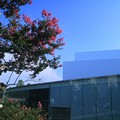 青空と百日紅（2）　金沢２１世紀美術館