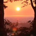 木の間から　日本海に沈む夕陽