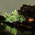 唐崎松　曲水