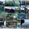 鎌倉　長谷寺