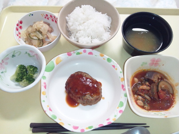 ９月６日夕食 ハンバーグ 病院食 照片共享页面 撮影蔵