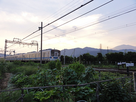 丹沢と小田急線1000形のある風景