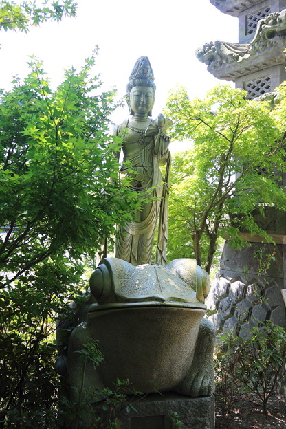如意輪寺(かえる寺)(2)