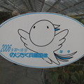 はばタン？