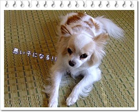 悪い子