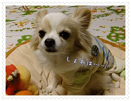 そのわけは