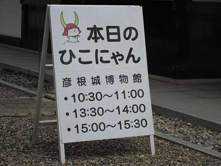 今日の予定