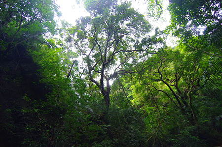 IMGP0563