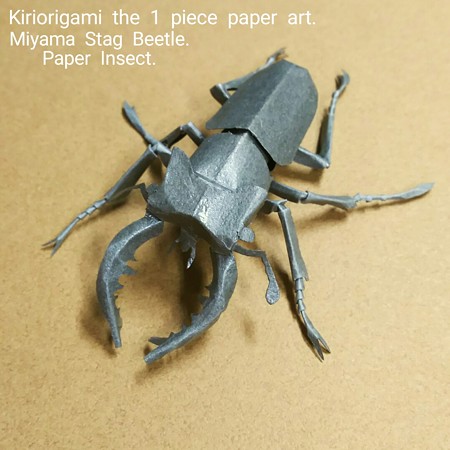 ノコギリクワガタ