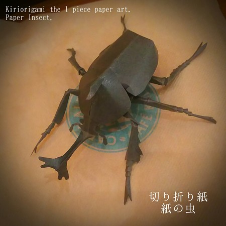 カブトムシ