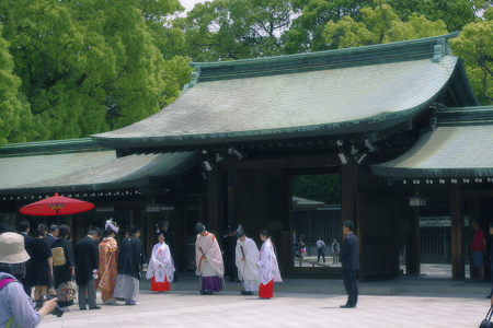 明治神宮 (7)