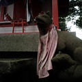 東伏見神社04狐さん-0050