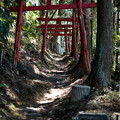 02朽ちかけた鳥居のトンネル-3246