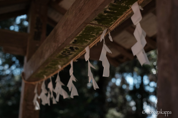 Photos: 18紙垂-3285