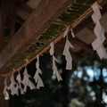 Photos: 18紙垂-3285