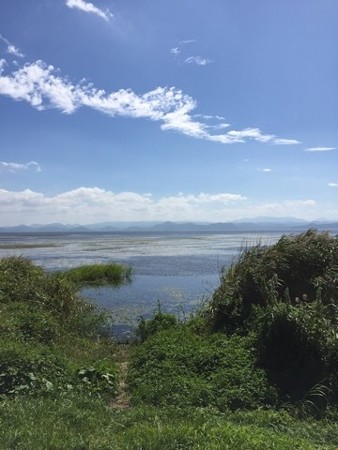IMG_1773