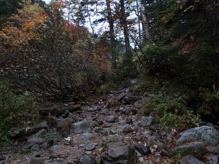 20141004_060453_Canon S120