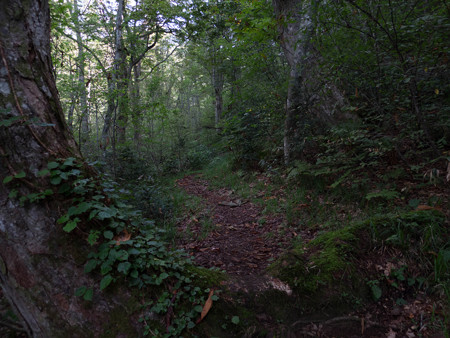 20140914_080131_Canon S120