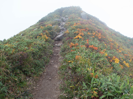 20140914_141719_Canon S120