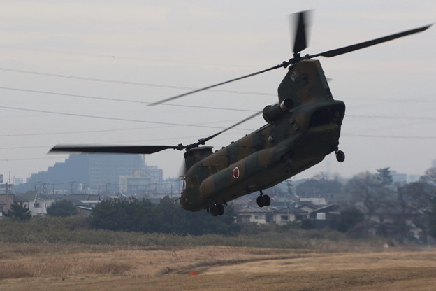 Photos: 降下訓練始め2 CH-47
