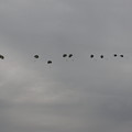 Photos: 降下訓練始め4 C-130からの空挺降下
