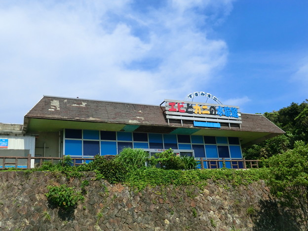 エビとカニの水族館