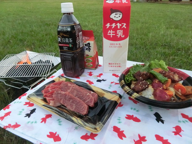 大串でのキャンプご飯…サンマ丼と焼肉