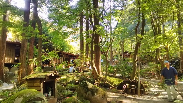 自然豊かな「みたき園」の中庭