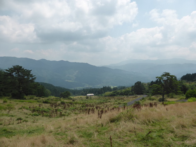 元スキー場兼放牧地