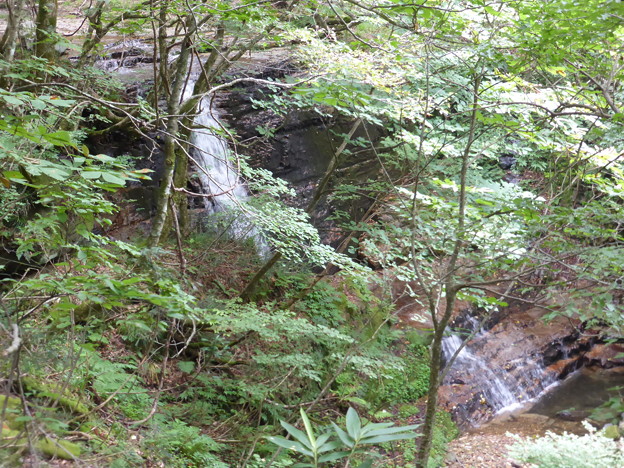 矢田川源流の滝