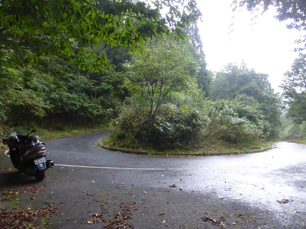 雨宿り