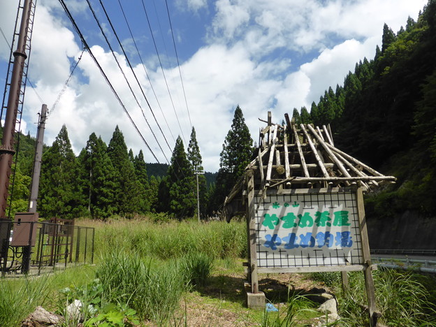 氷ノ山瀞川林道の目印　やまめ茶屋の看板