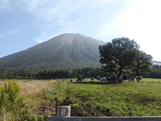 まきばのみるくの里で牧歌的な大山