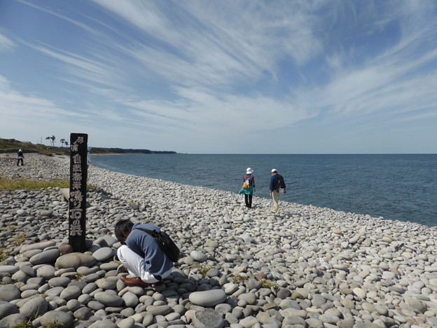 鳴り石の浜