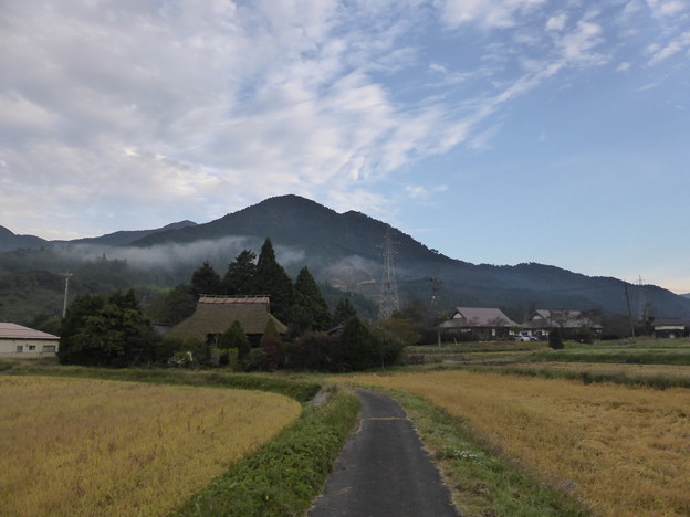 朝の耕心村を散策