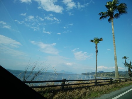 Spring blue sky