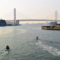 Photos: 深江大橋から