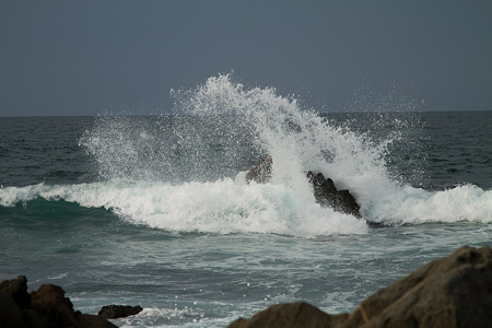 20100322-_MG_1936