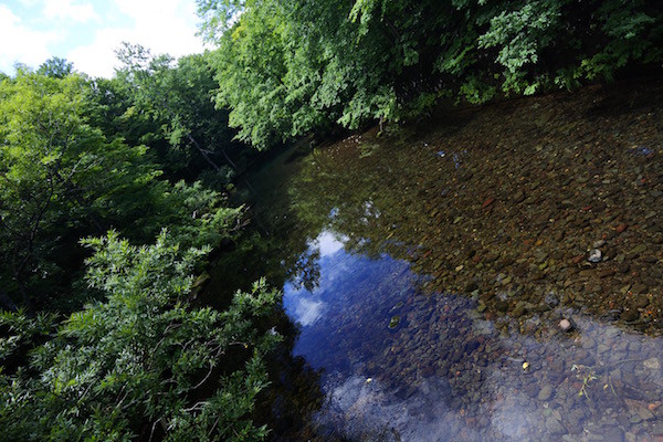 青空も映りこむ蔦川の流れが綺麗