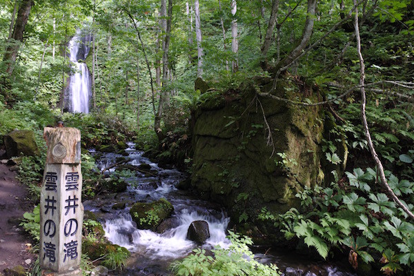 帰りも奥入瀬の景色を楽しみながら走る