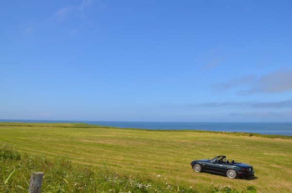 広々した開放感に包まれる