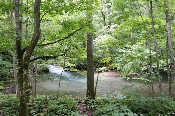同じ場所の8月9日の写真