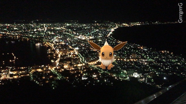 家内のポケモンGO!の遊び方