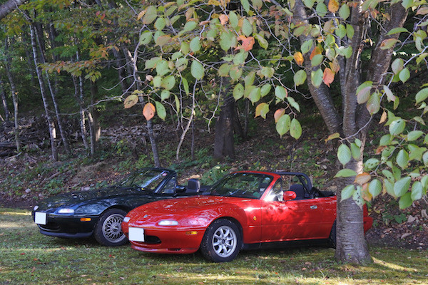 私のVR-BはクラシックレッドのNAと共に桜の木の下に