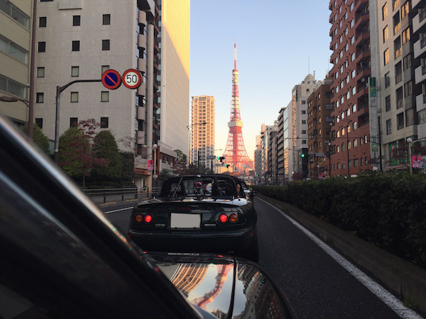 快晴の朝日に東京タワーが輝く