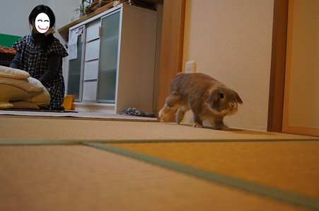 たたみ2