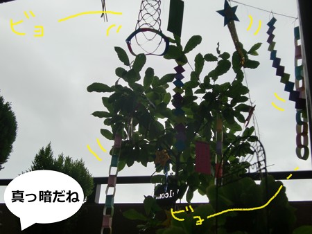 台風2