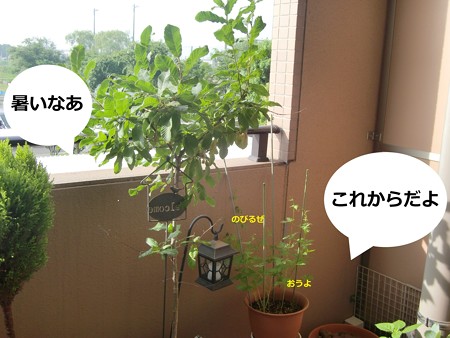 暑い1