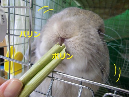 暑い2